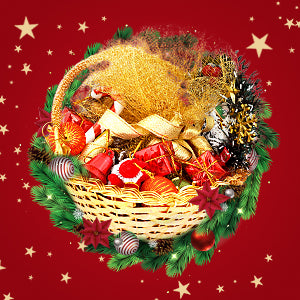 Celebrate  Christmas
