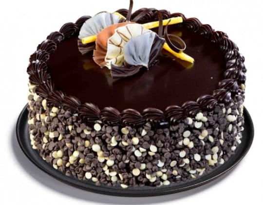 Fresh Eggless Cream Cake Choco Chip Cake 1000 gms 